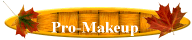 Pro-Makeup